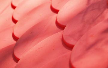 Belchford plastic roof costs